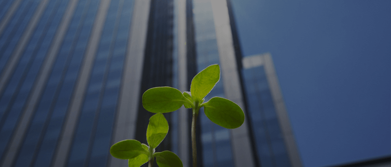Confindustria | Q1 2019