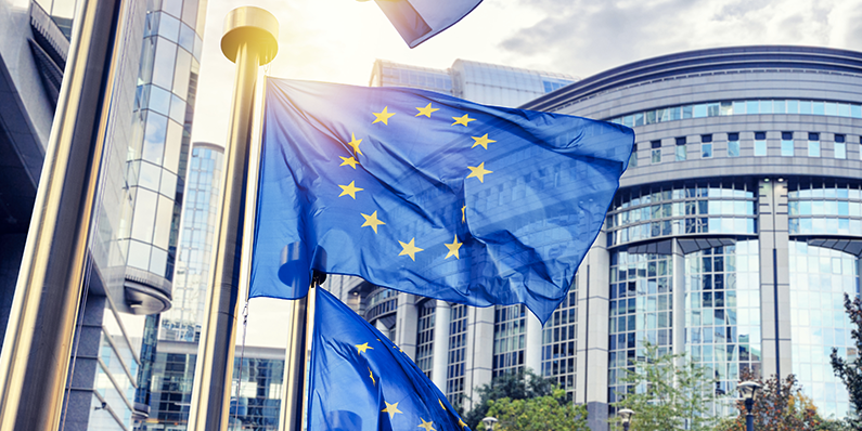 Report | Elezioni Europee 2019