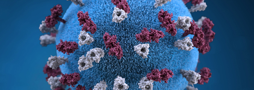 Coronavirus – I risultati Web e Social
