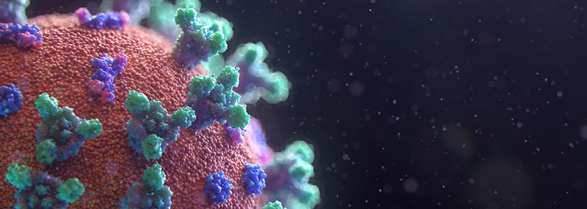 Coronavirus – 2° Aggiornamento dei dati web e social