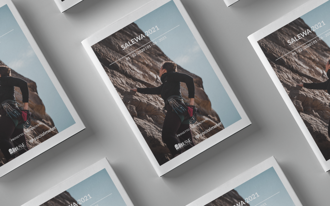 Salewa – report